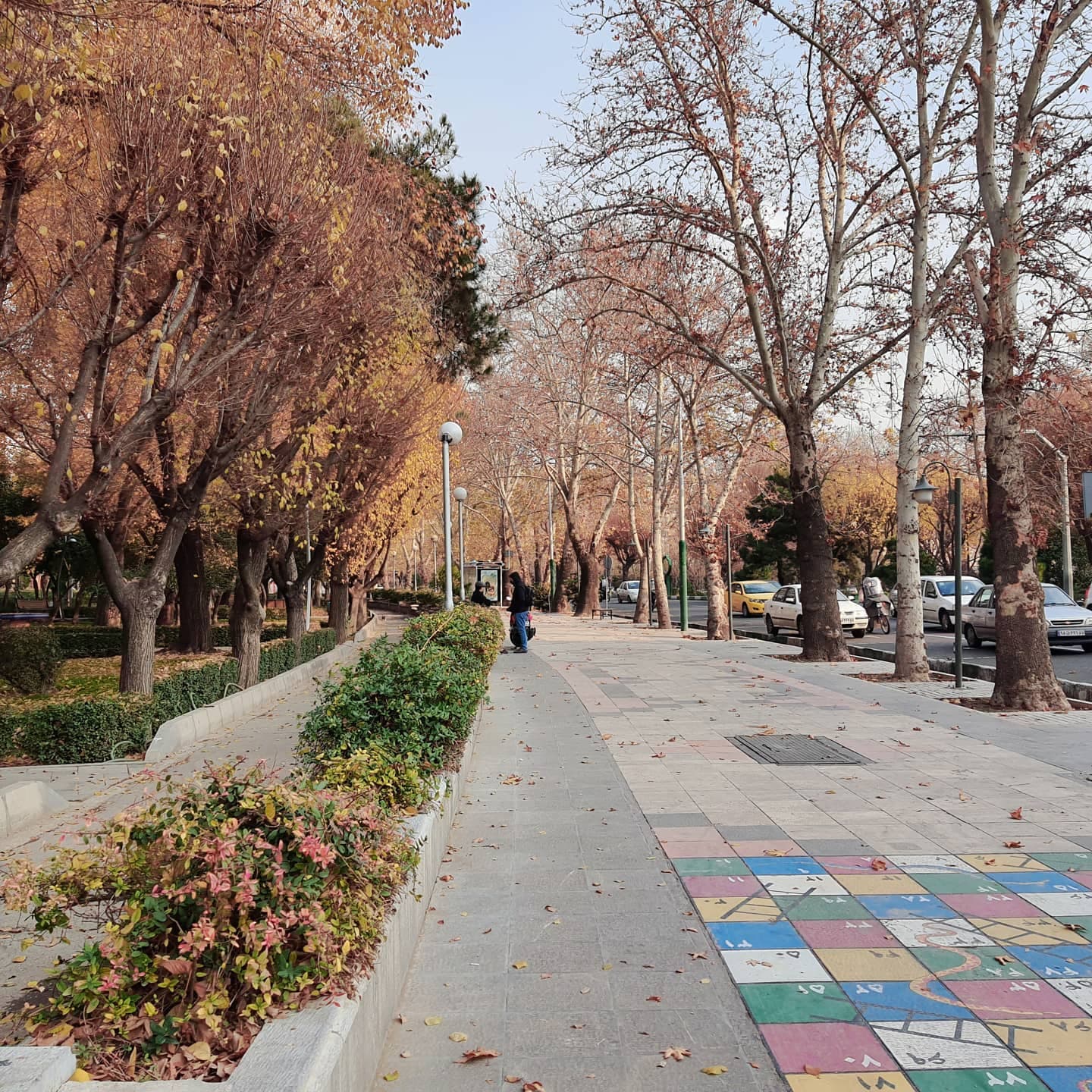 Autumn..gold and brown
L'automne absurde