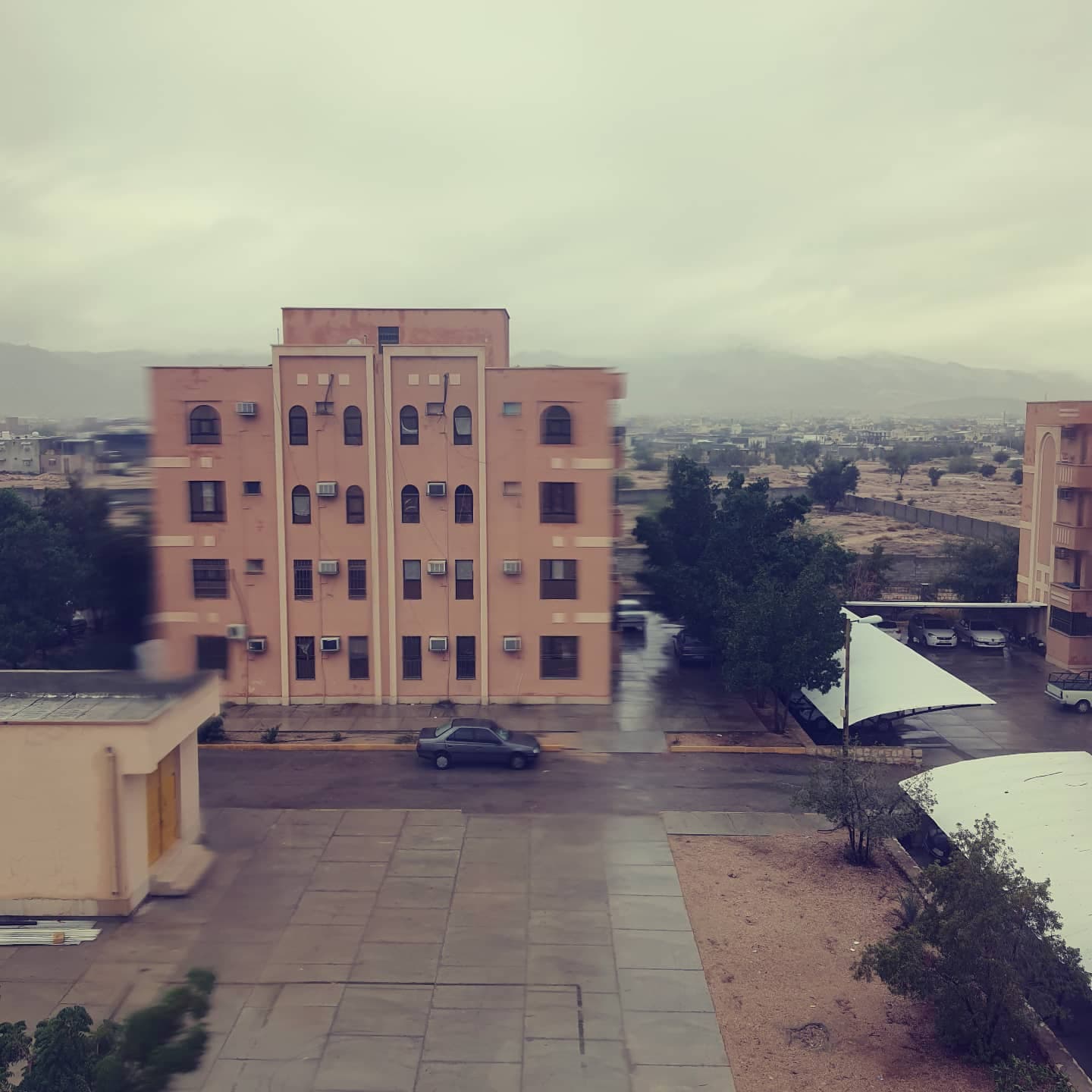 The pictures tell the story
This life has many shades
I’d wake up every morning and before I’d …