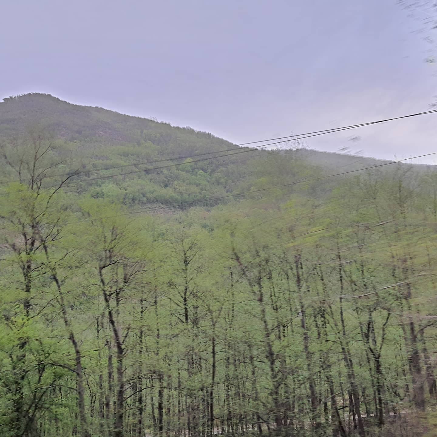 A sad day, a tragic journey and the glory of spring